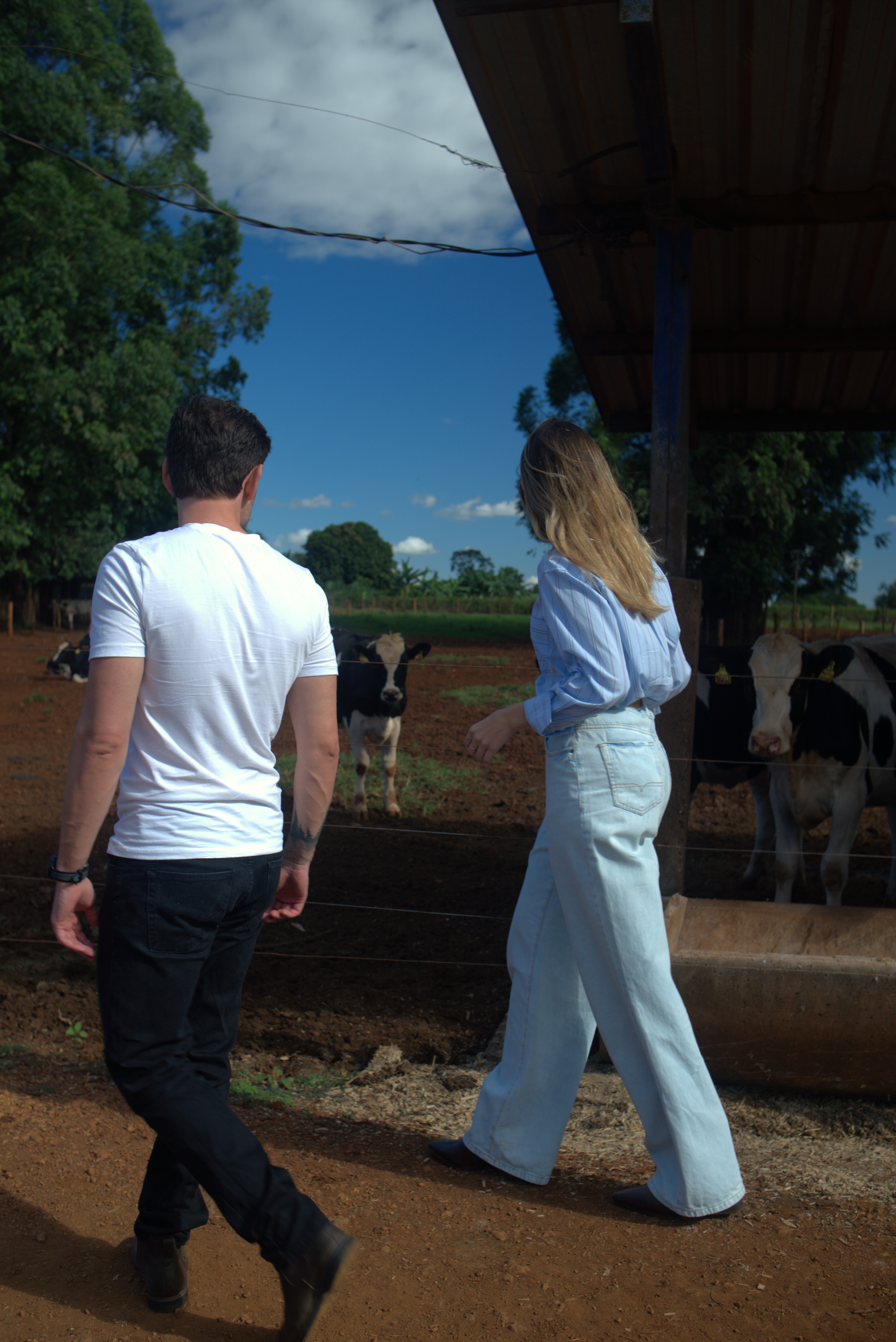 Produtor rural olhando para o horizonte